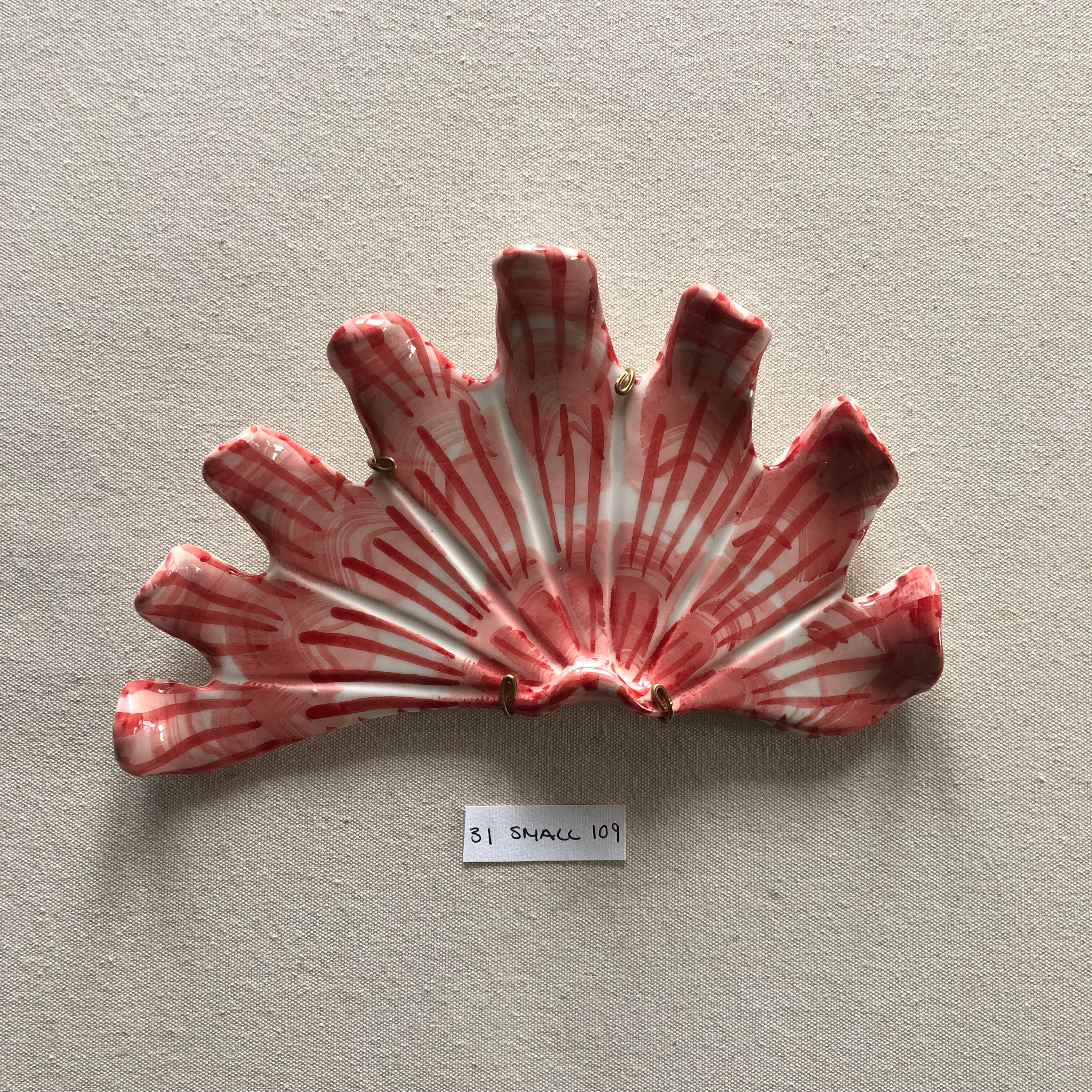 31 small shell 109