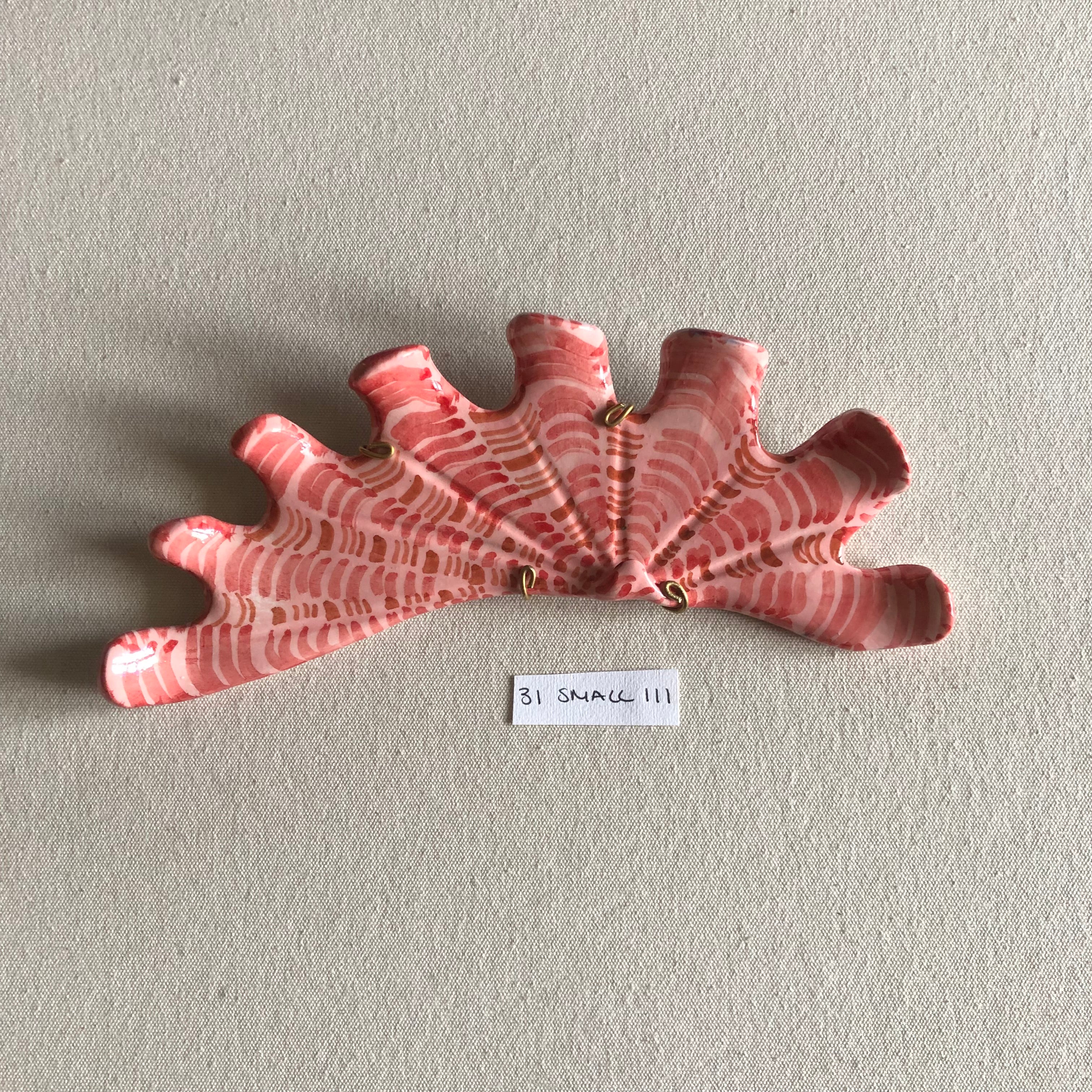 31 small shell 111