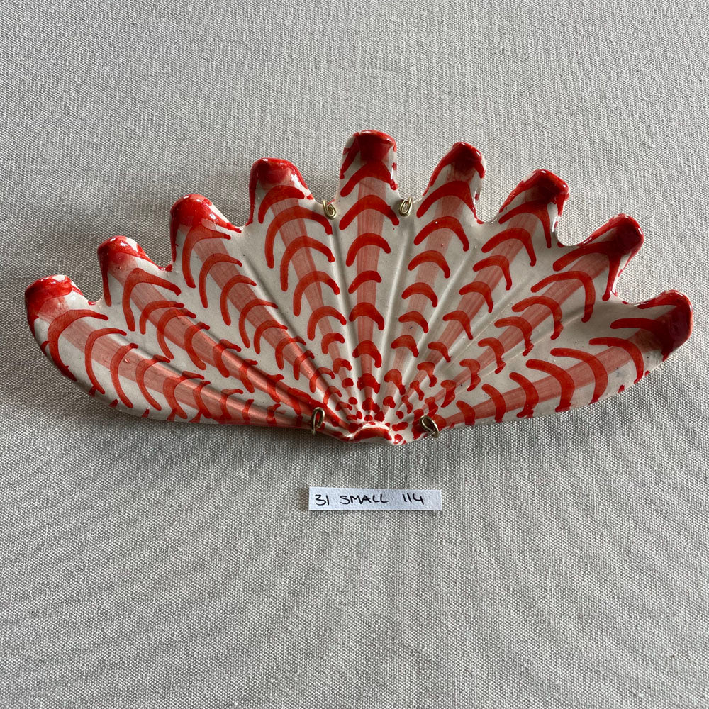 31 small shell 114