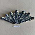 31 small shell 121