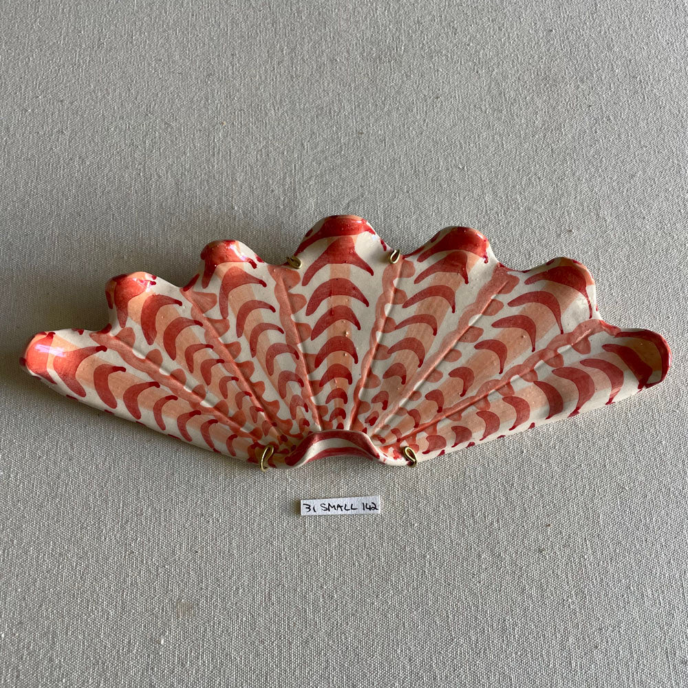 31 small shell 142