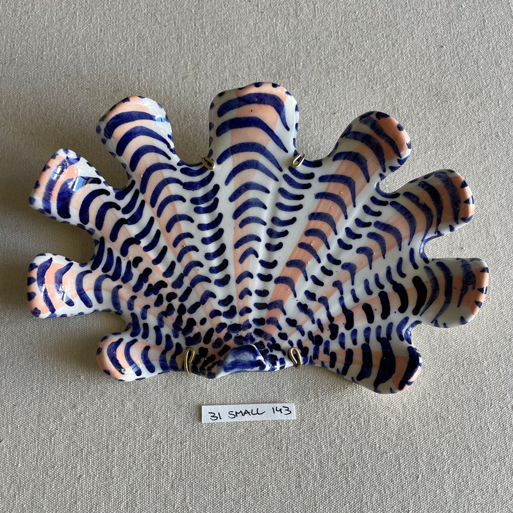 31 small shell 143