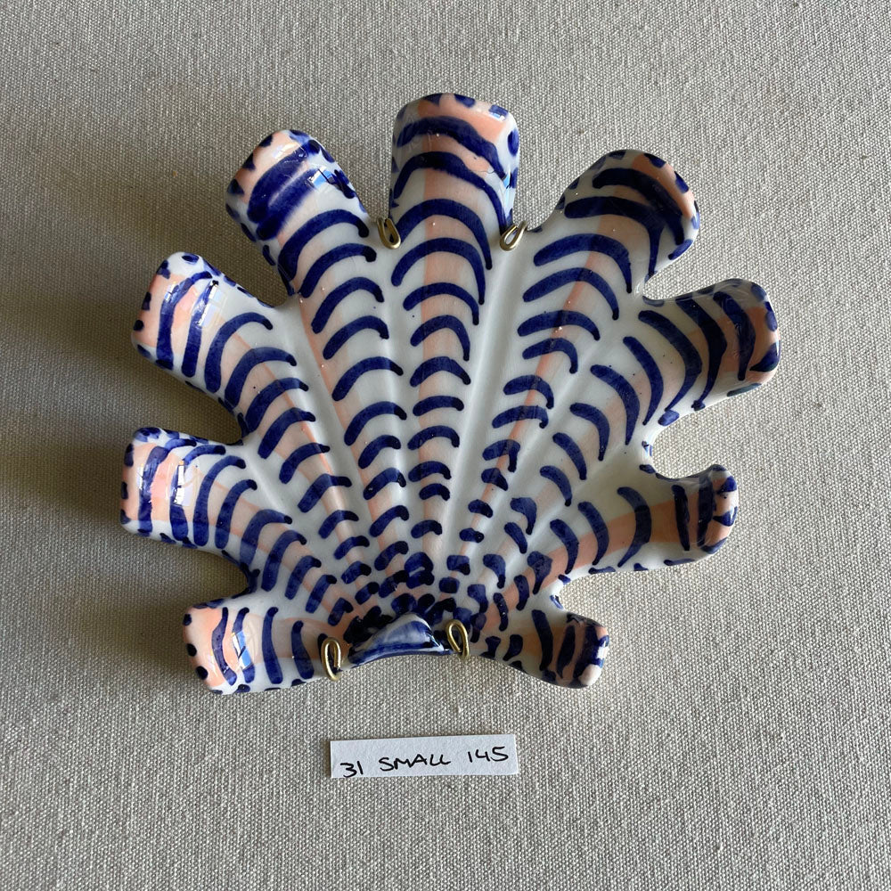 31 small shell 145