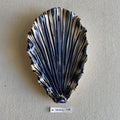 31 small shell 148