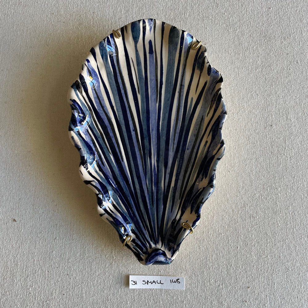 31 small shell 148