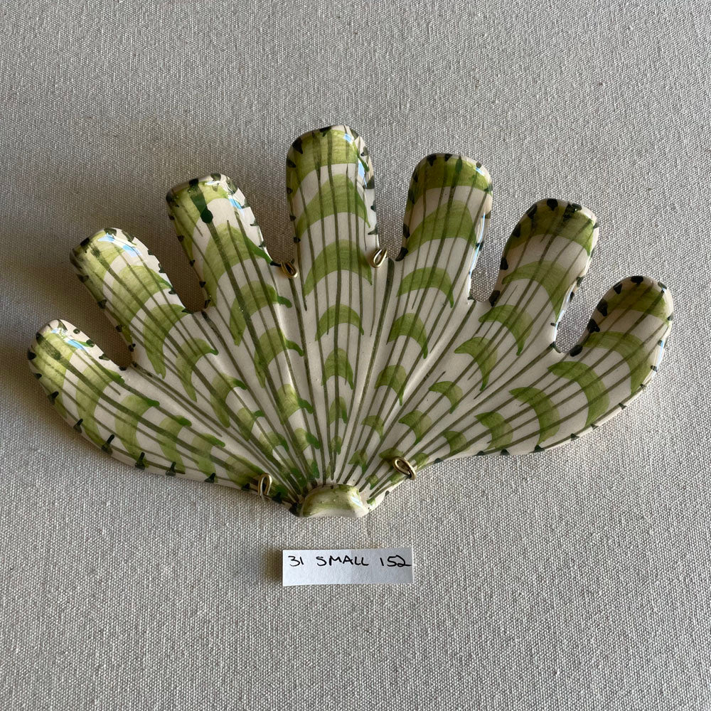 31 small shell 152