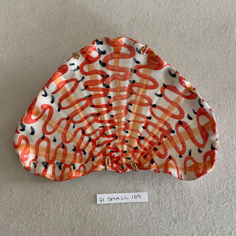 31 small shell 169