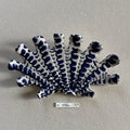 31 small shell 27