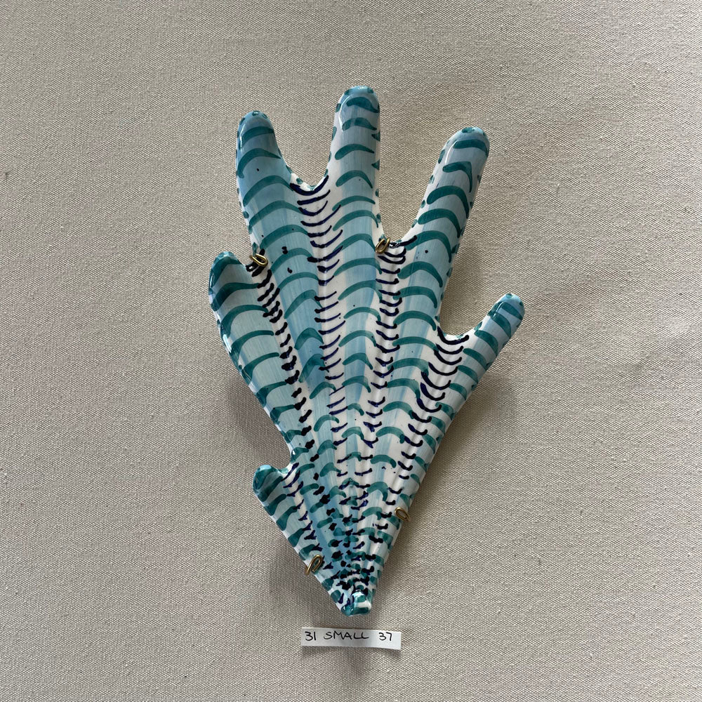 31 small shell 37