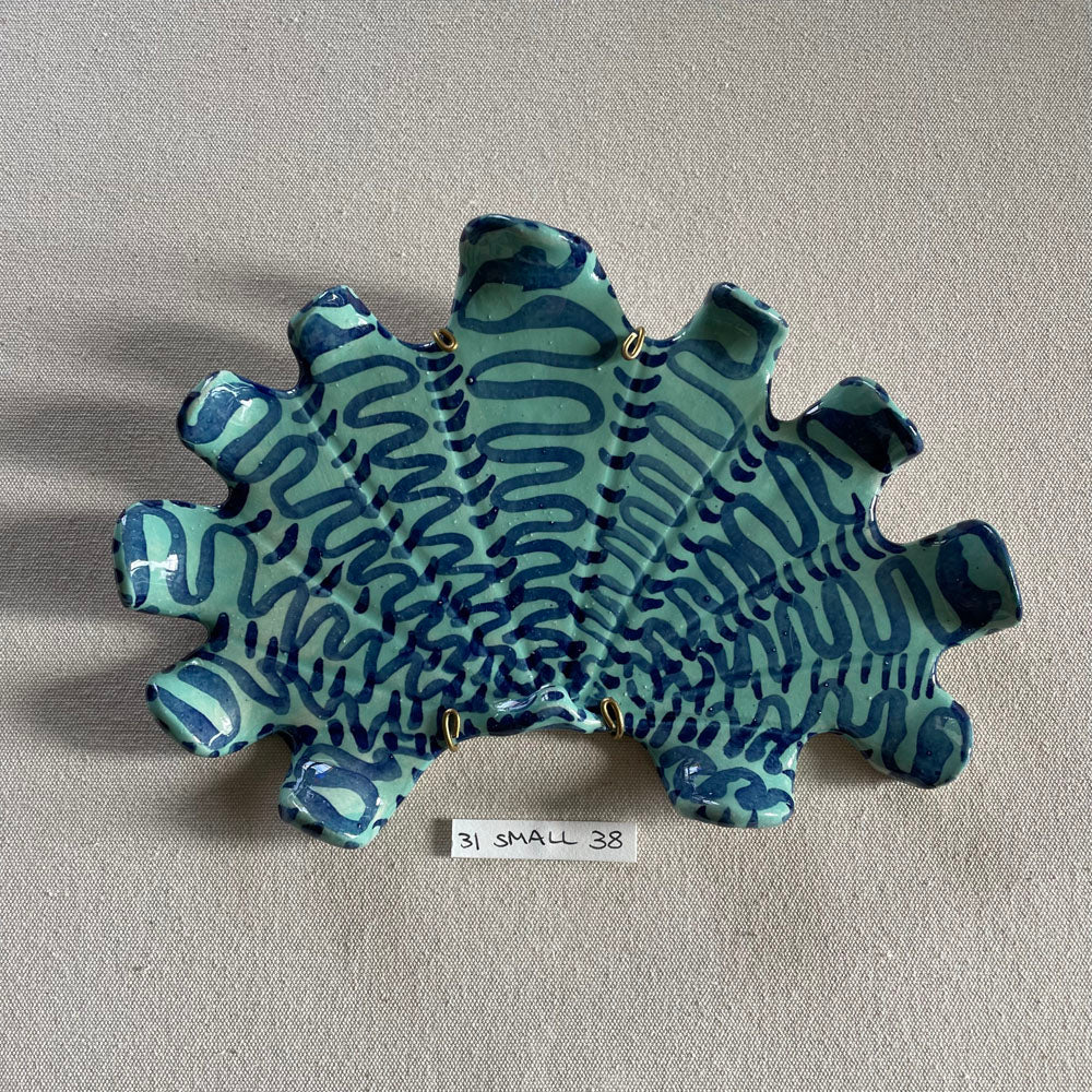 31 small shell 38