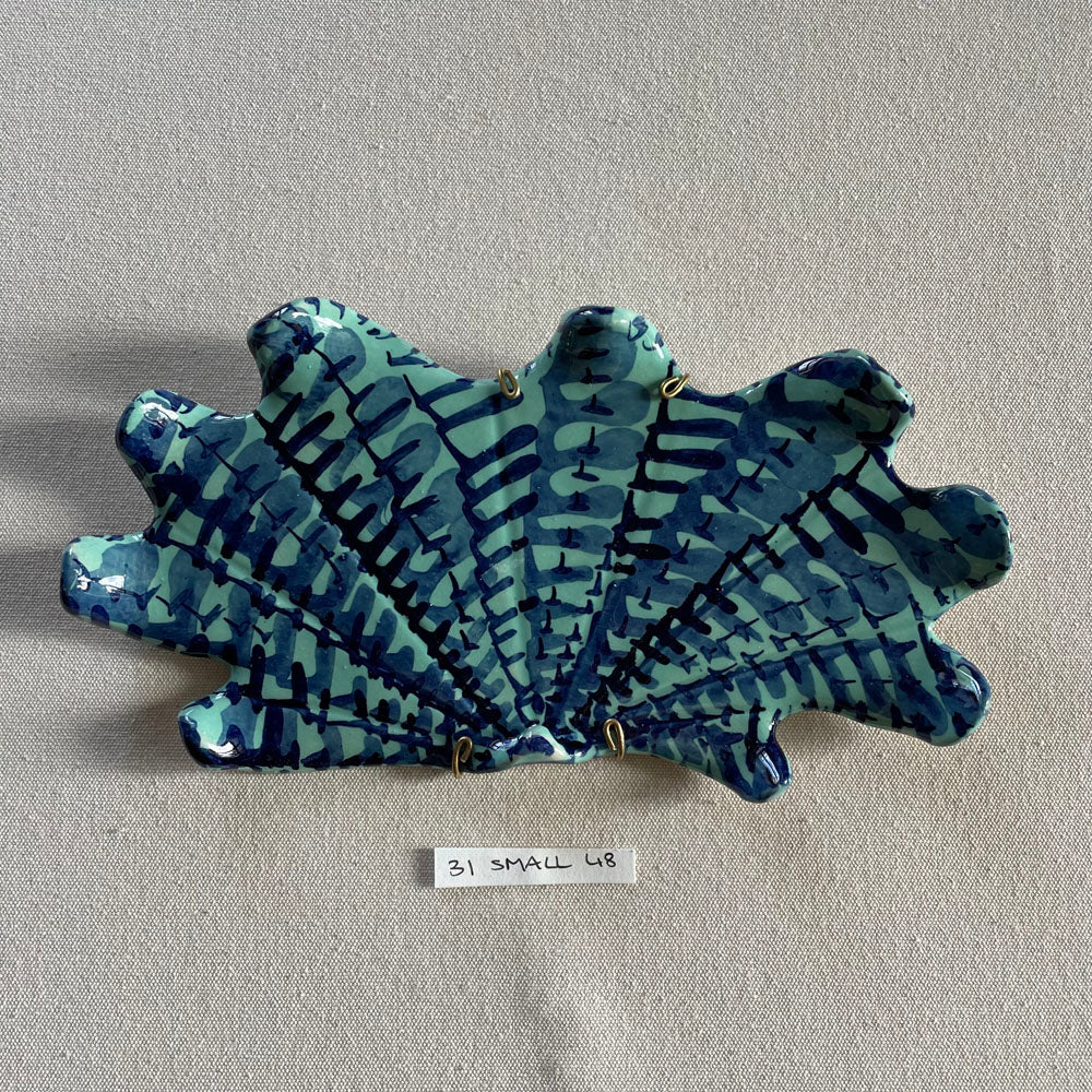 31 small shell 48