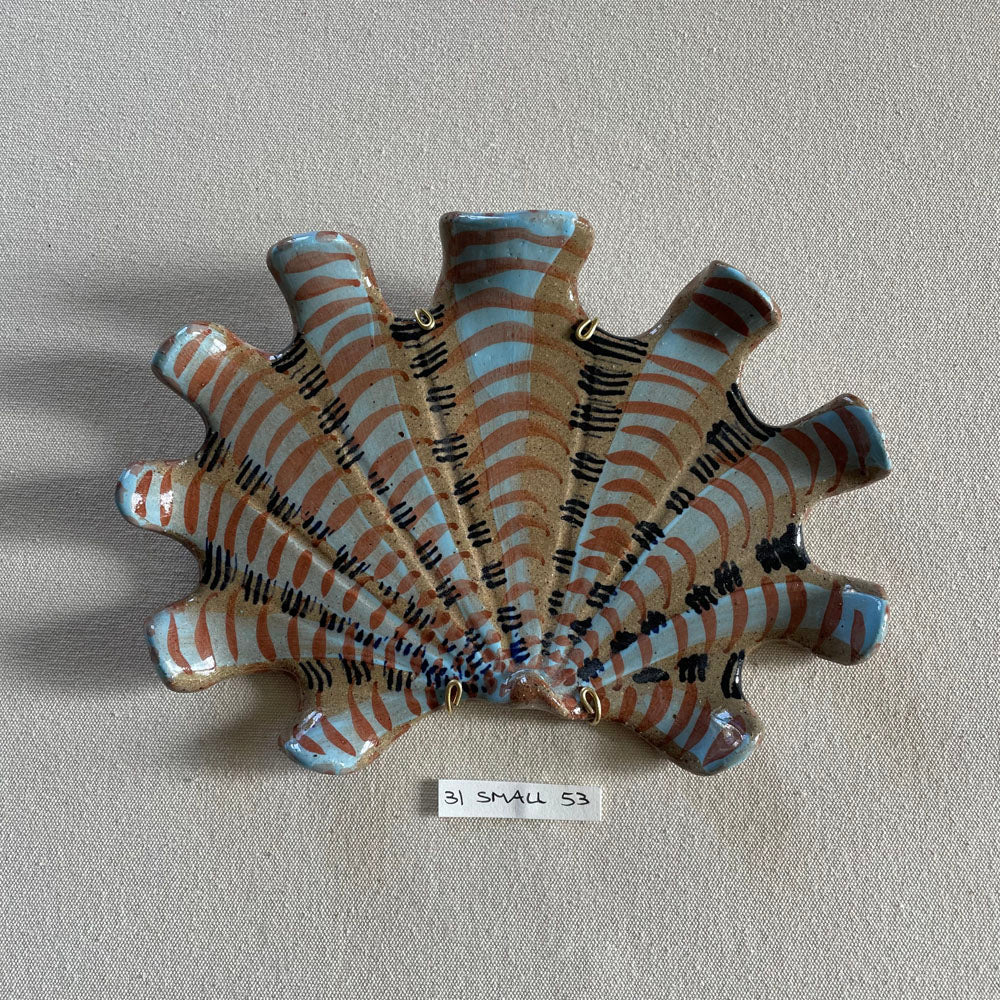 31 small shell 53