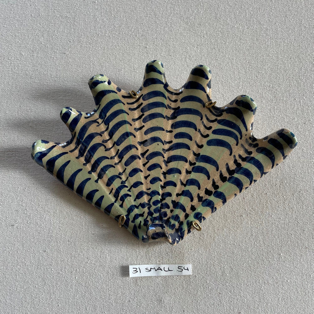 31 small shell 54