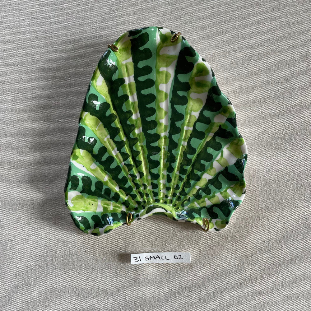 31 small shell 62