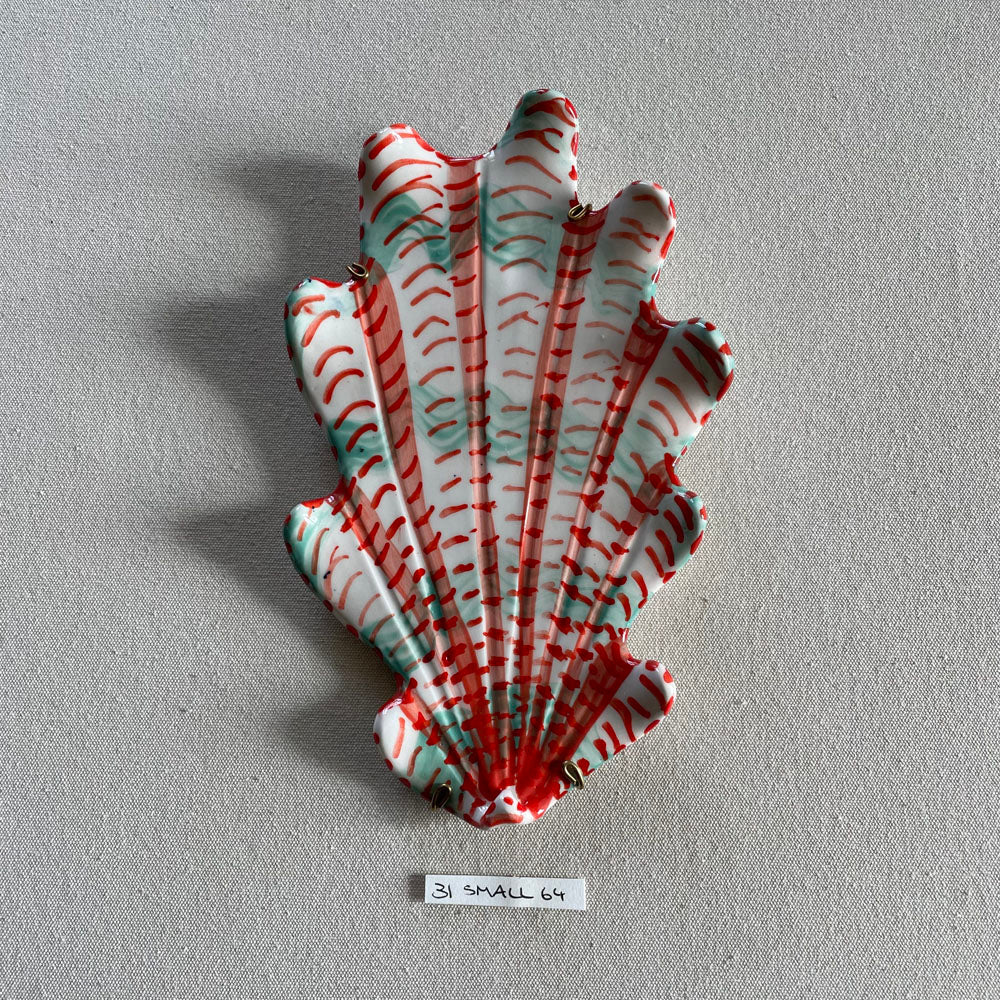 31 small shell 64