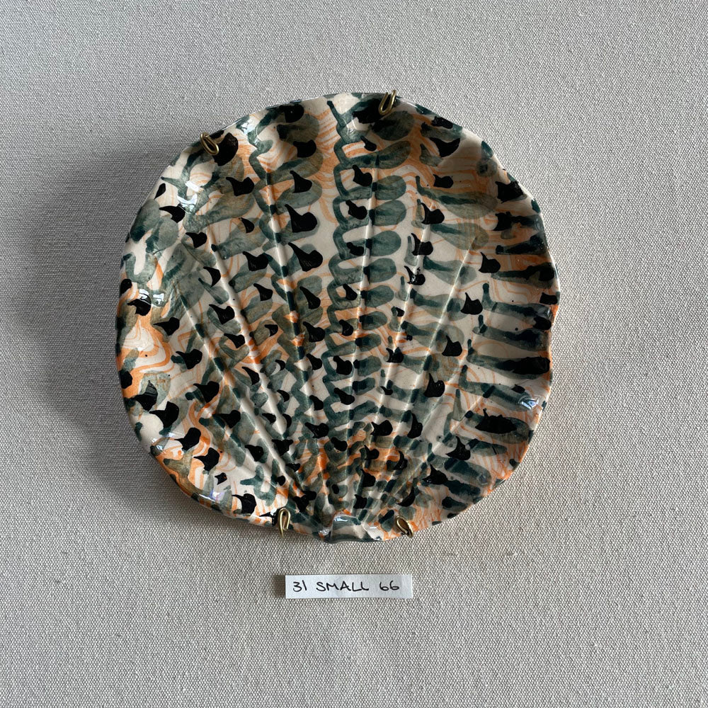 31 small shell 66