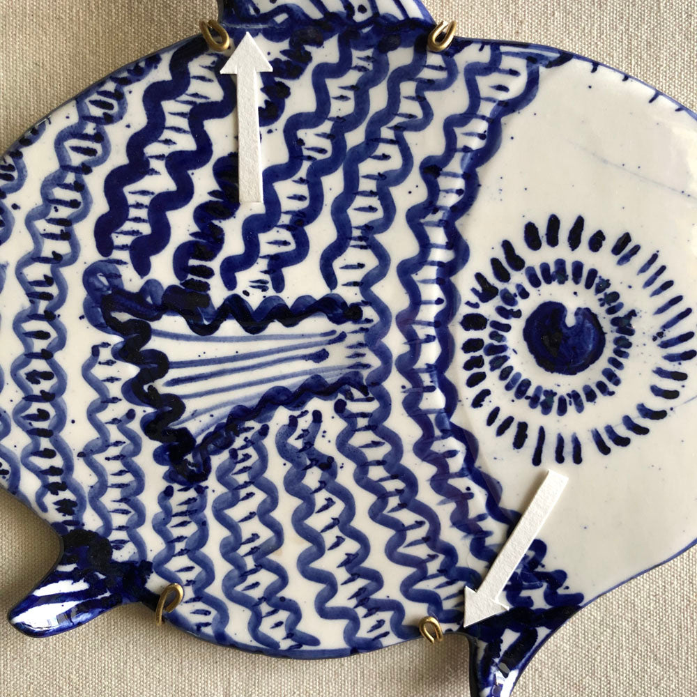44 Shellshocked Med Fish