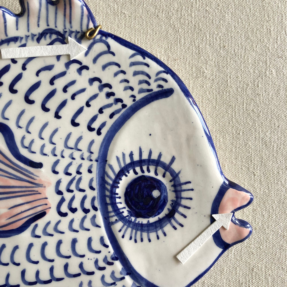 45 Shellshocked Med Fish