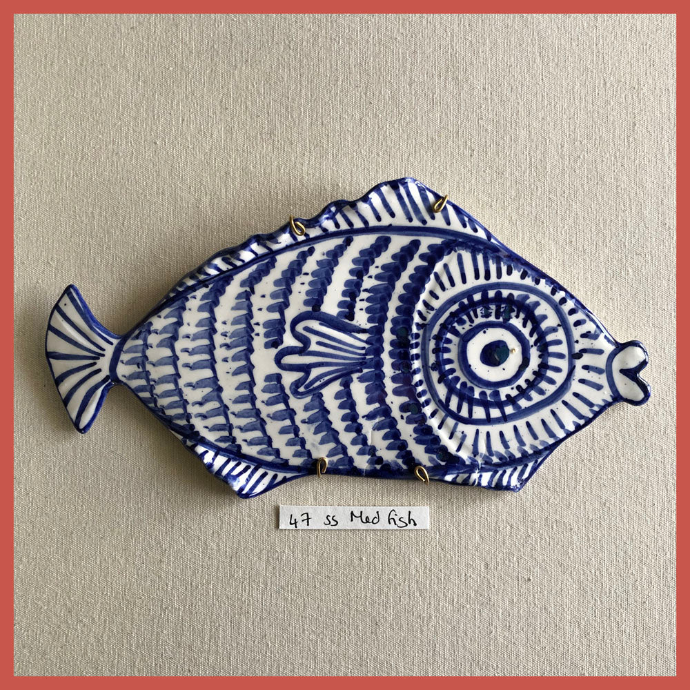 47 Shellshocked Med Fish