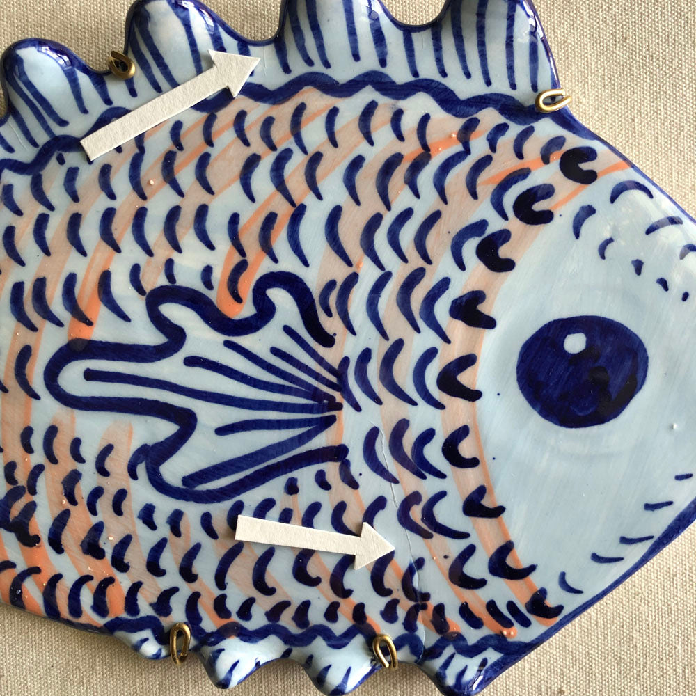 48 Shellshocked Med Fish