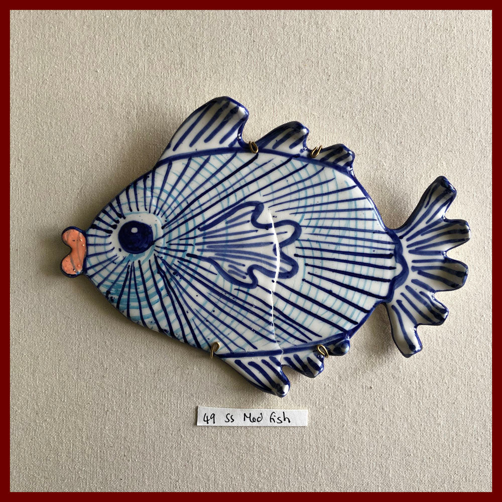 49 Shellshocked Med Fish