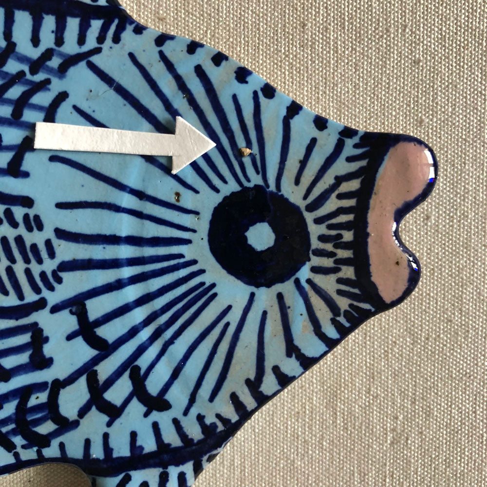 65 Shellshocked Small Fish