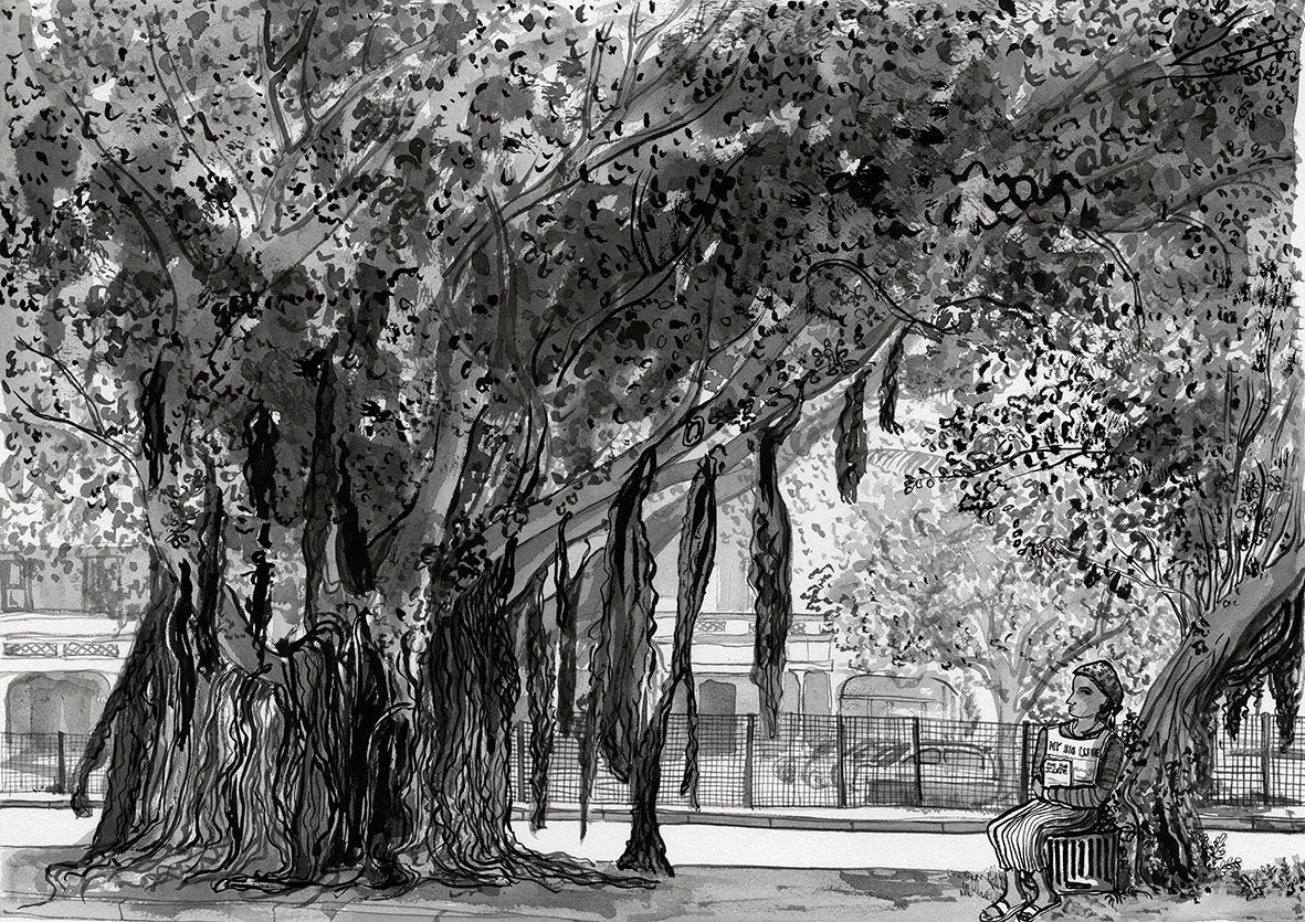 Foreshore Jungle