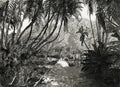 Company Gardens Path