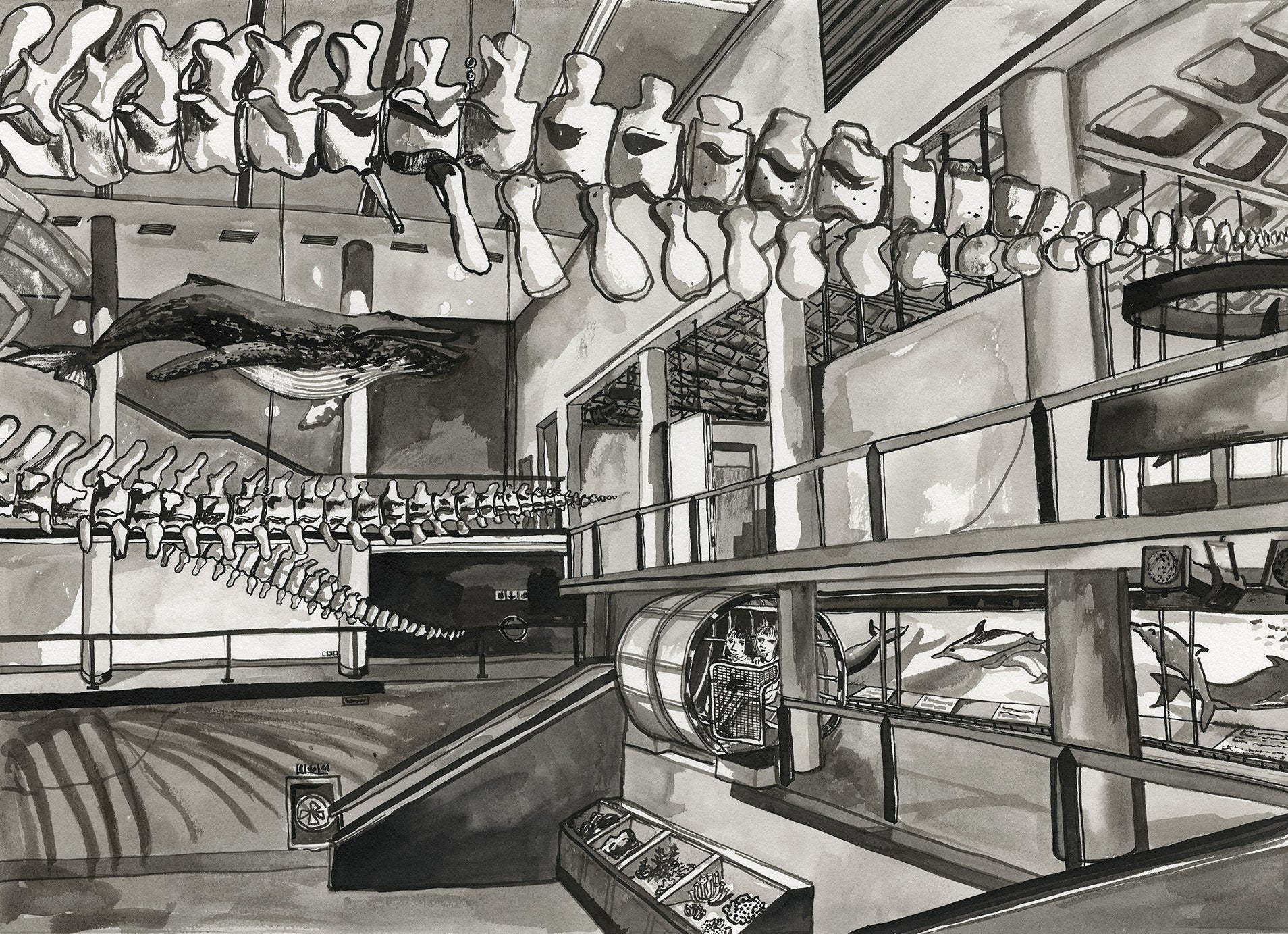Museum Whale Calls