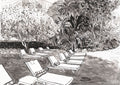 Mount Nelson Deckchairs