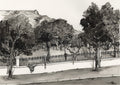 De Waal Park Wall