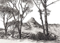 Kloof Road to Camps Bay