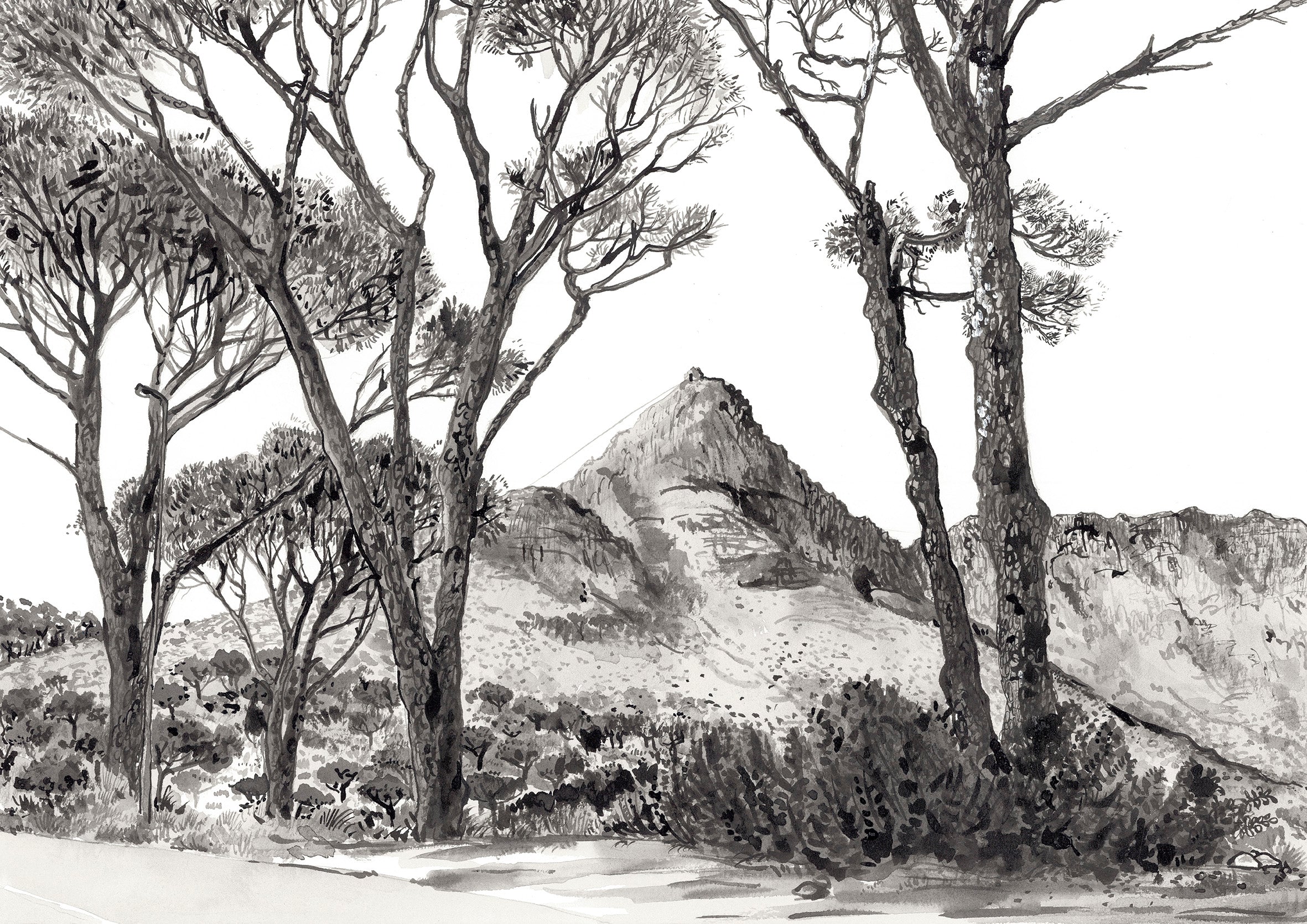 Kloof Road to Camps Bay