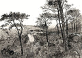 Tafelberg Road with Bus