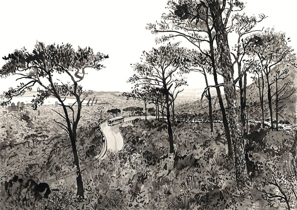 Tafelberg Road with Bus