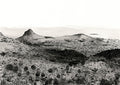 Full Lions head view