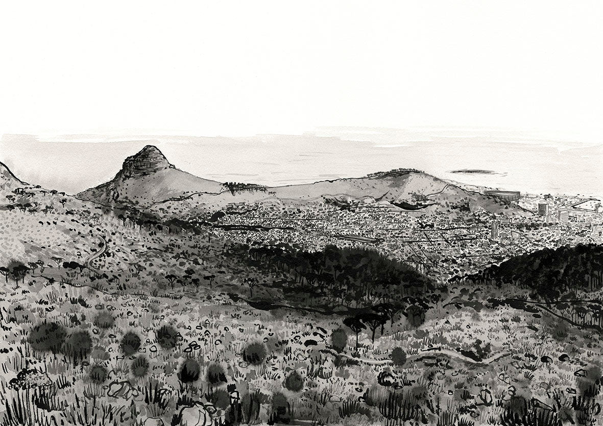 Full Lions head view