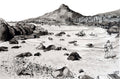 Bakoven cove