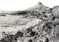 Dassie colony