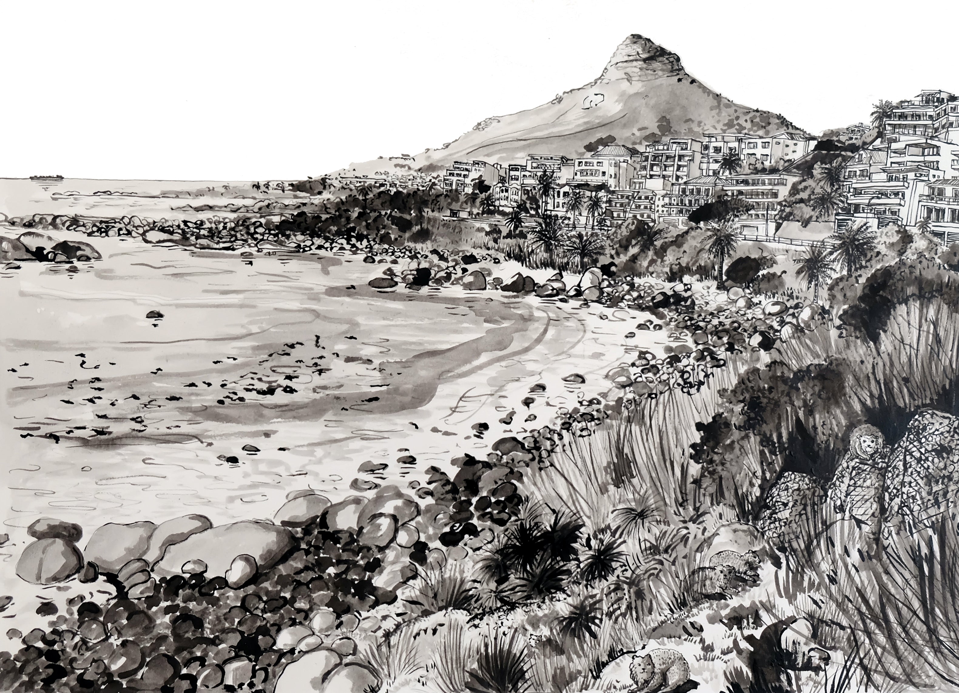 Dassie colony