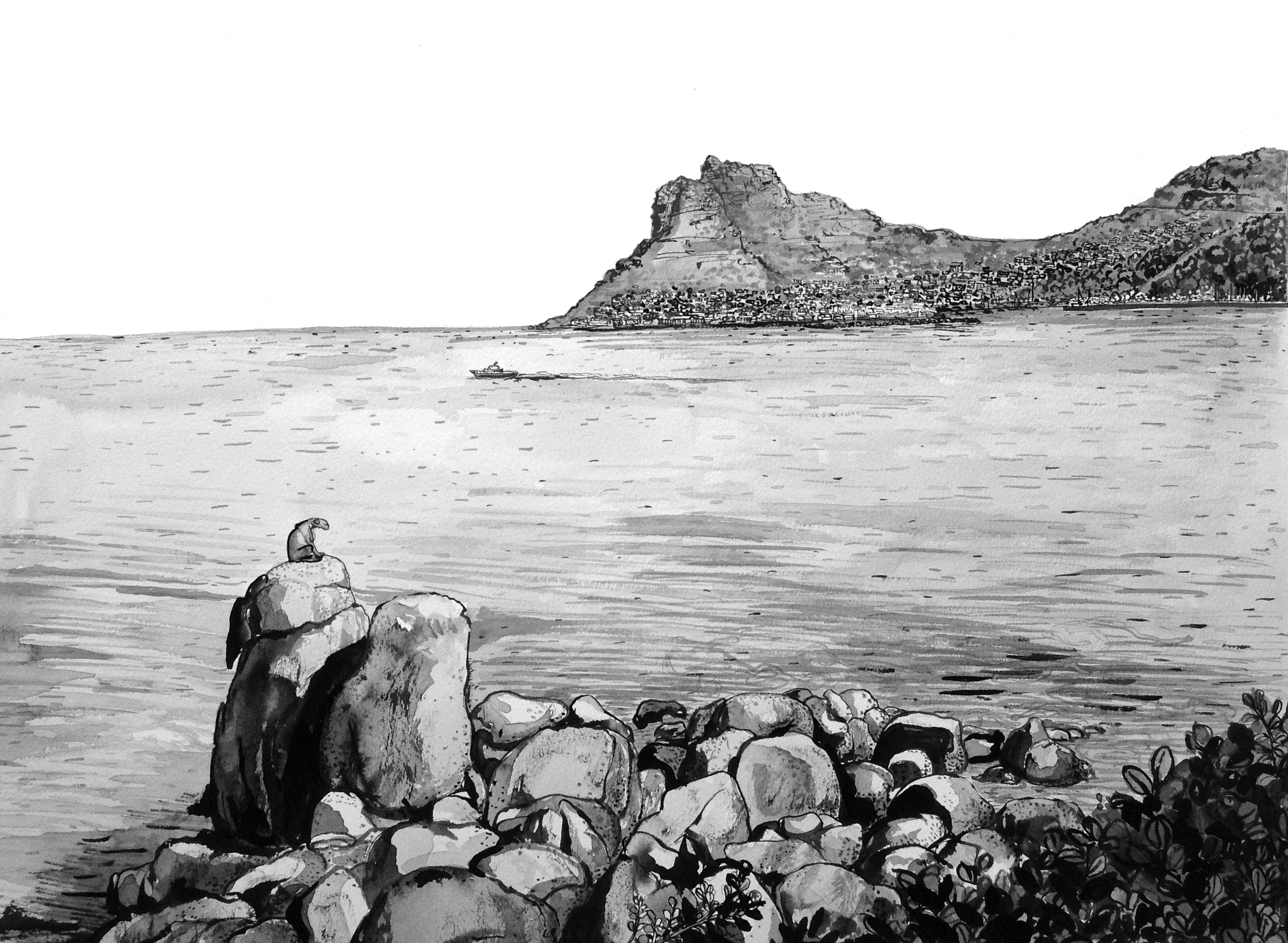 Hout Bay Sentinel