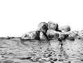 Boulders Island