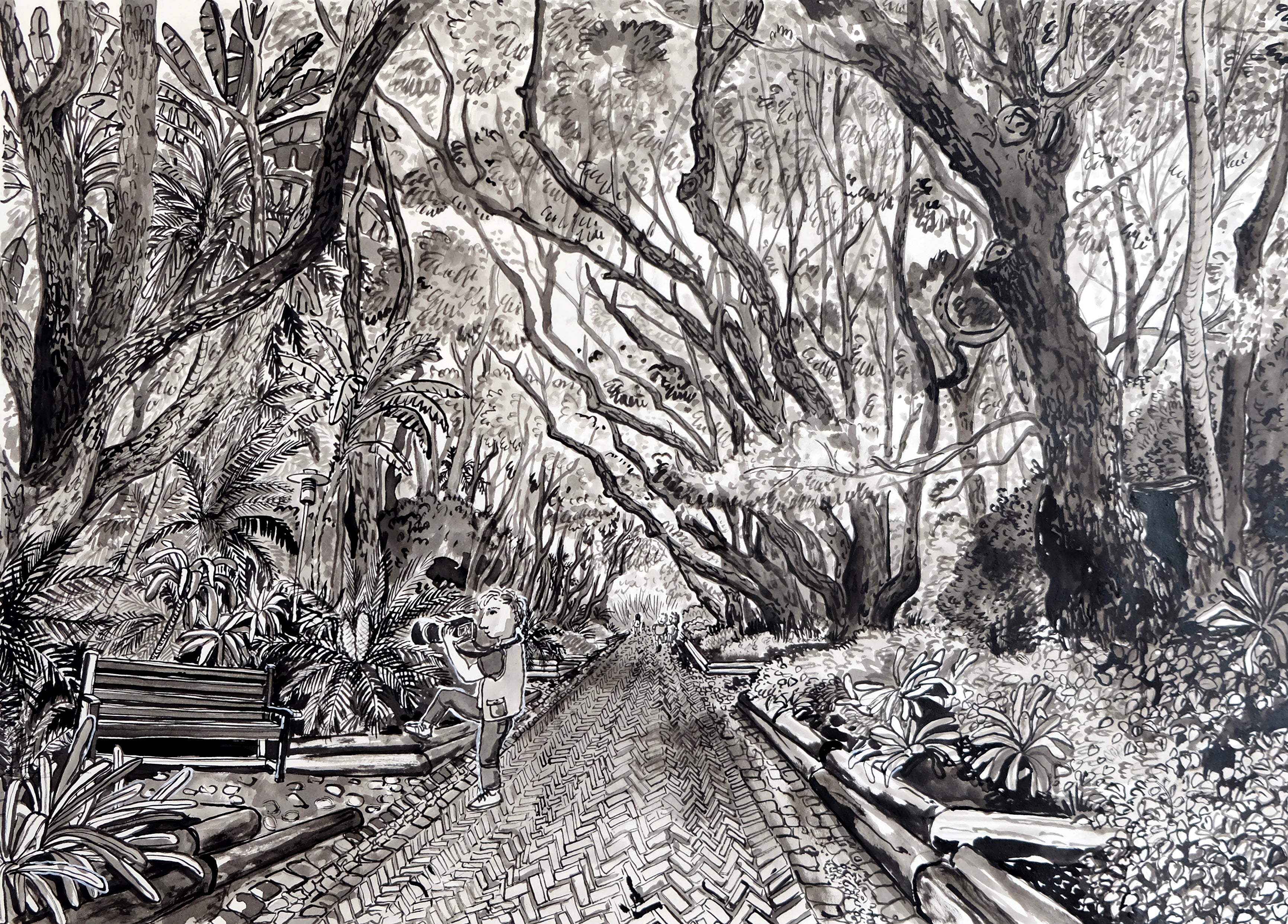 Camphor avenue Kirstenbosh