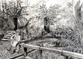 Colonel's birdbath Kirstenbosh