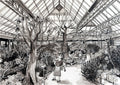 Greenhouse Kirstenbosh