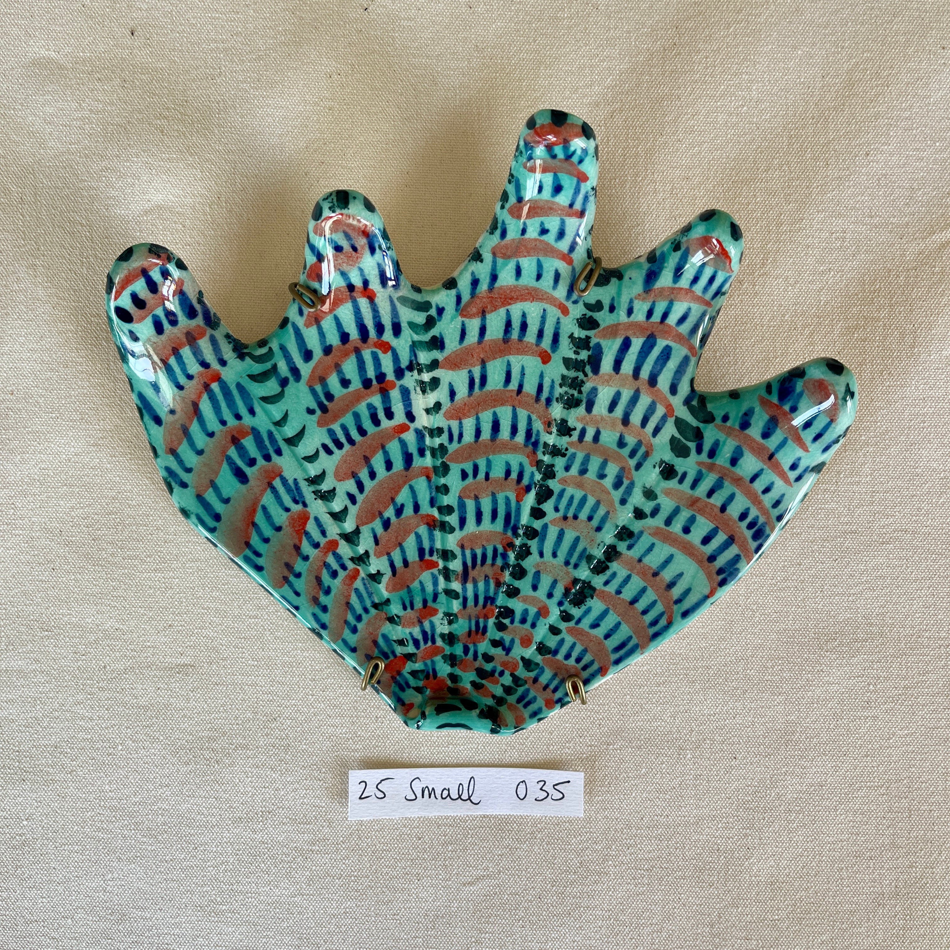 25 small shell 035