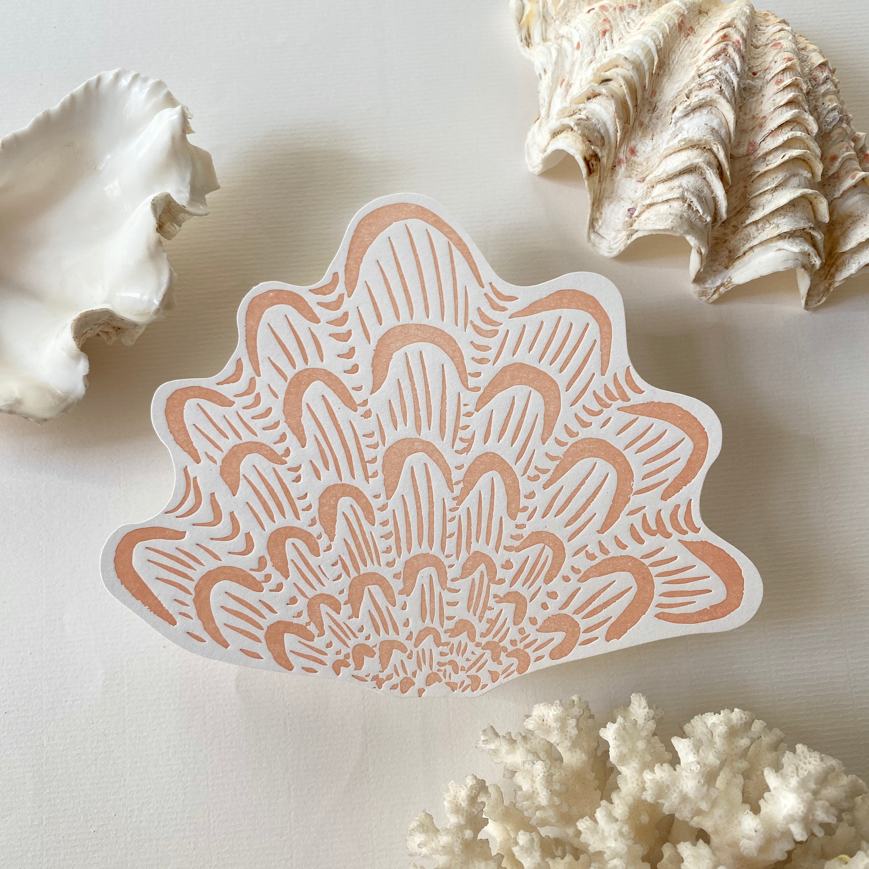 A5 shell postcards whole collection