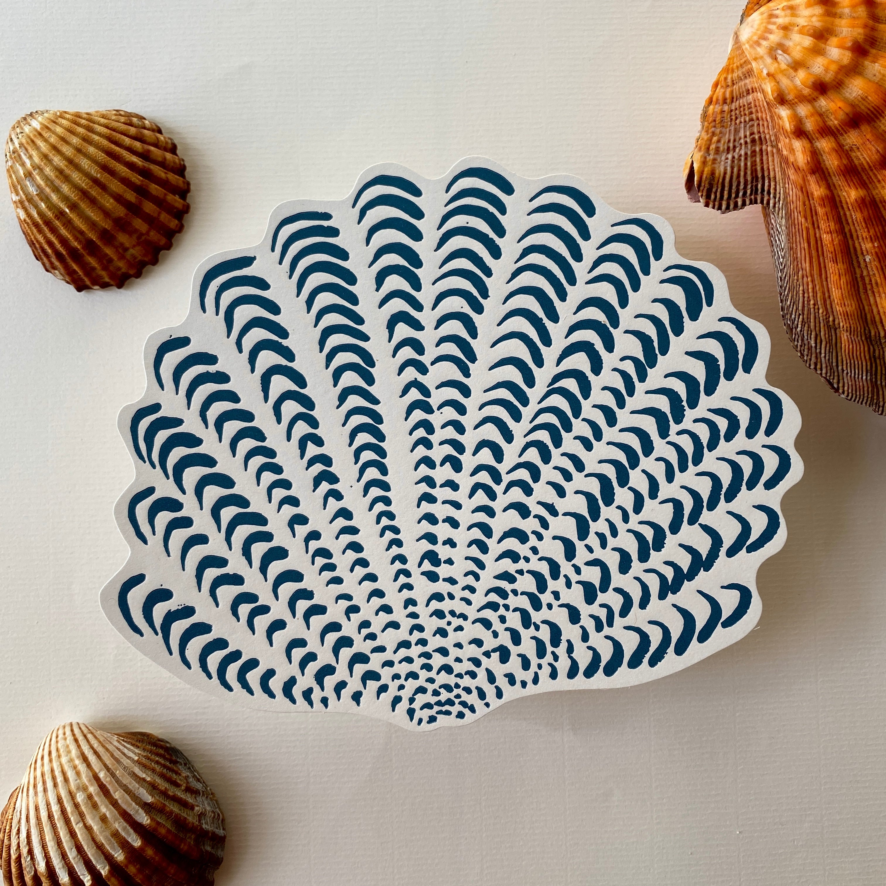 A5 shell postcards whole collection