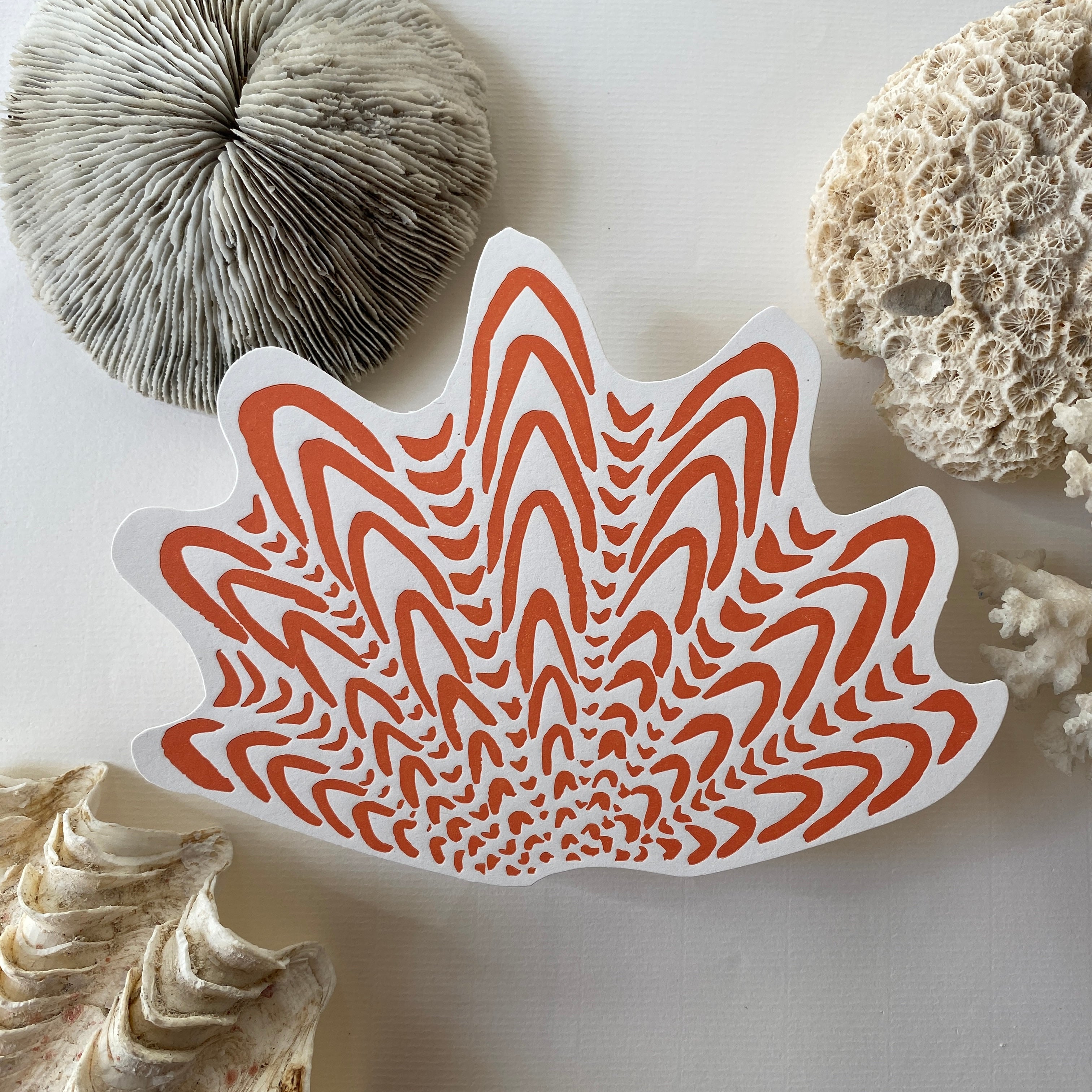 A5 shell postcards whole collection