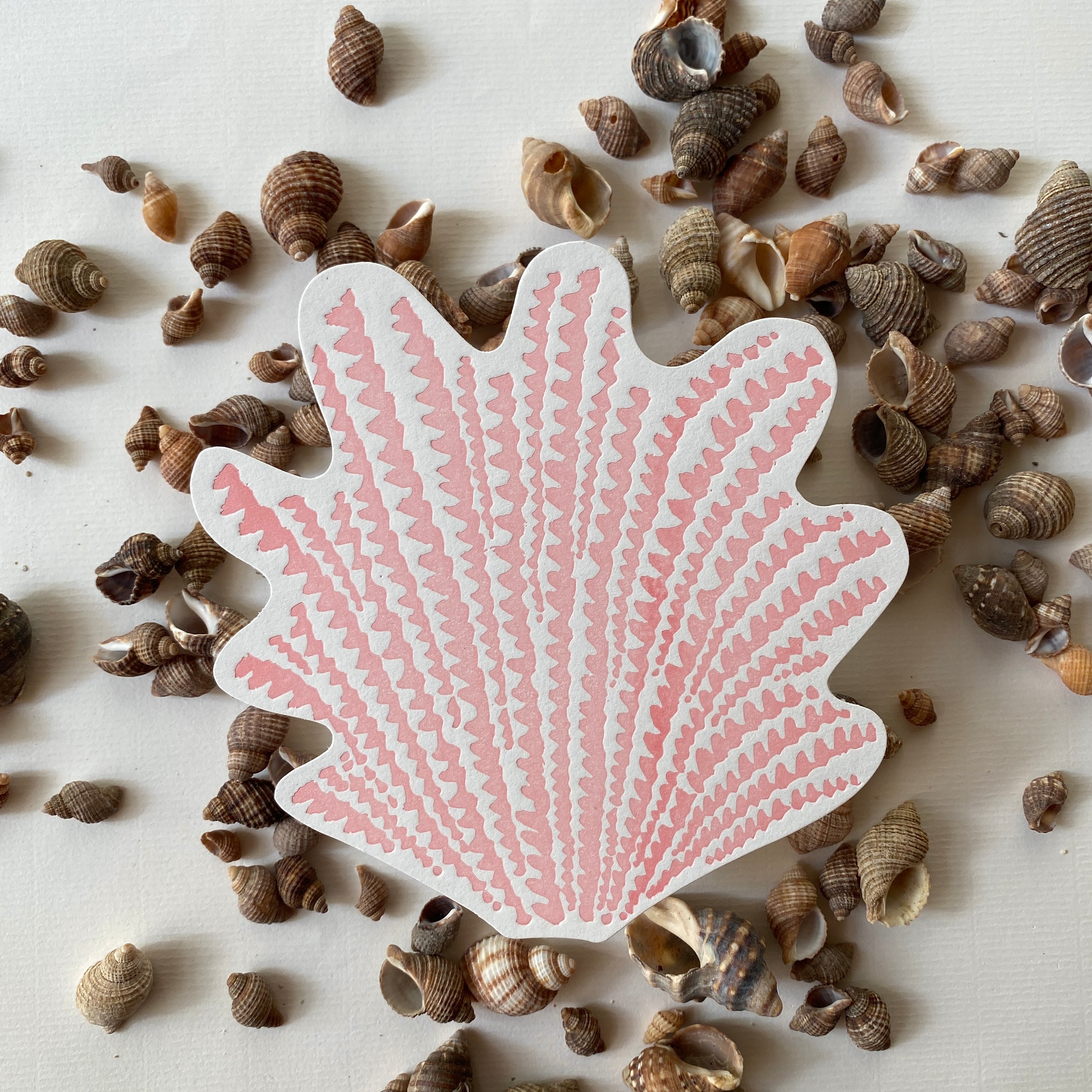 A5 shell postcards whole collection